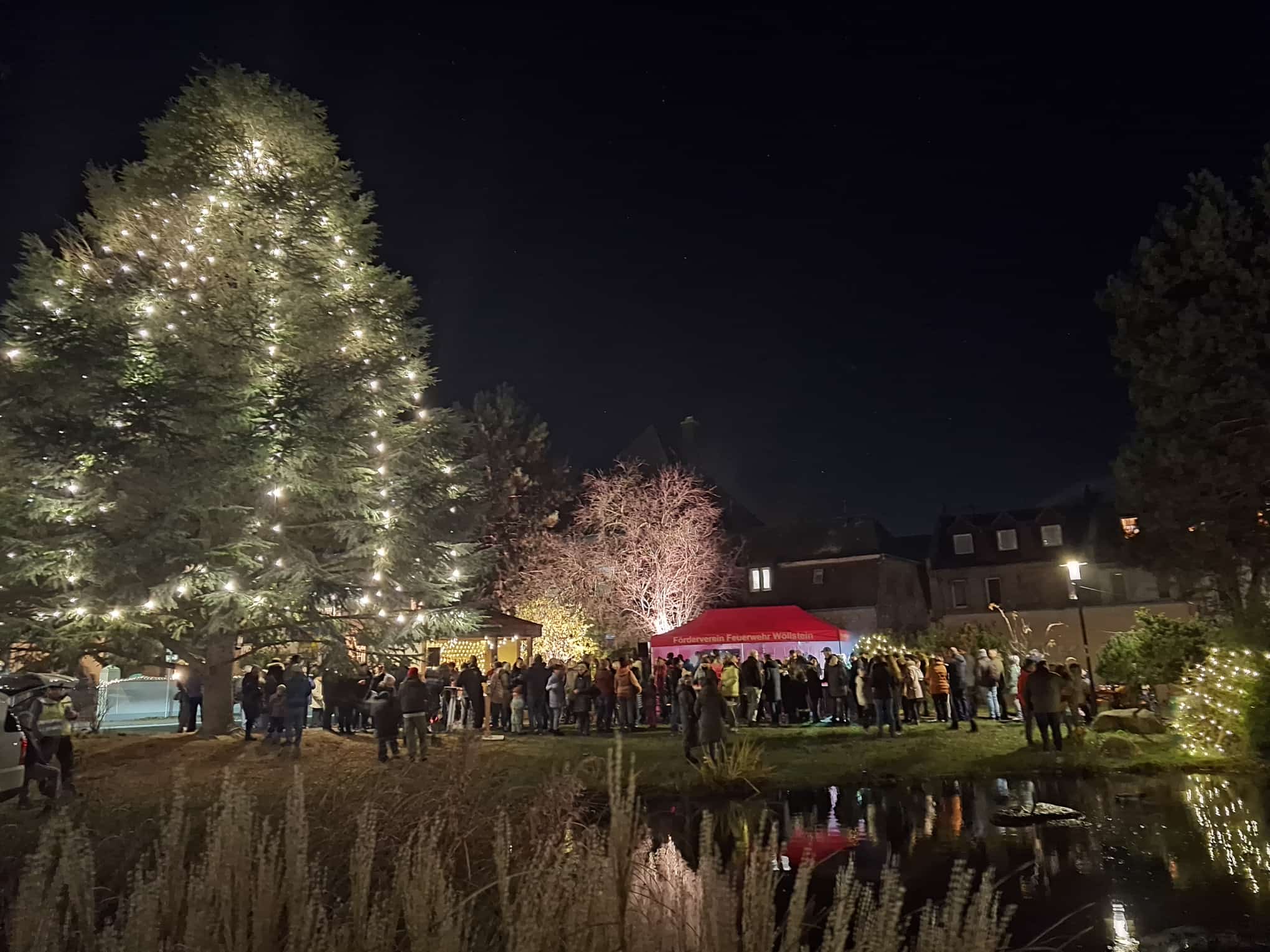 Tannenbaum feierlich erleuchtet